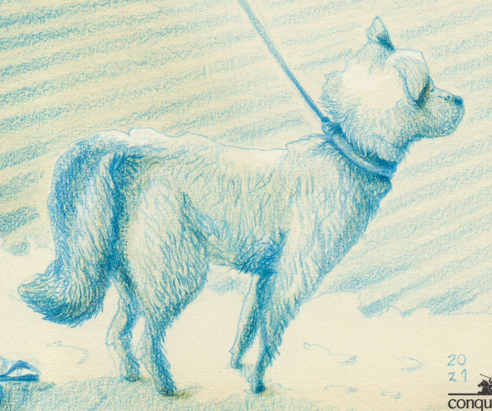 El Paseo de Firulais